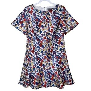 Alton Gray Colorful Print A-Line Dress Ruffle Hem Short Sleeve Cottage Size 4